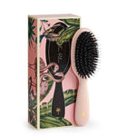 Fan palm - Fan Palm Hair Brush Paradise - Small - frashhair.com